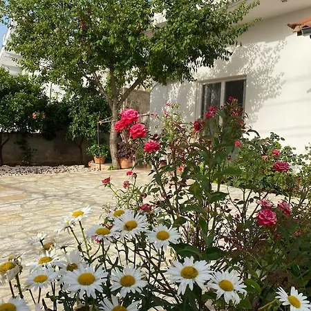 Vila Dejvi&delisia *