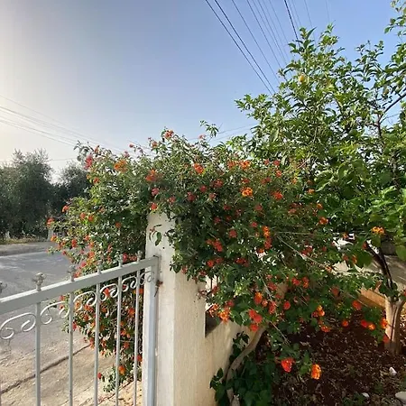 Vila Dejvi&delisia Appartement