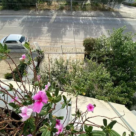 Vila Dejvi And Delisia Apartment Ksamil